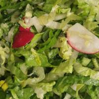 Spring Salad · Romaine lettuce, scallion, and radish, dressed with red wine vinaigrette.