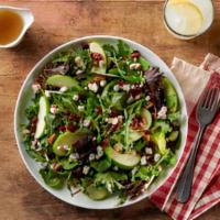 Michigan Apple Salad · spring greens, apples, dried cranberries, toasted pecans and bleu cheese crumbles with apple...