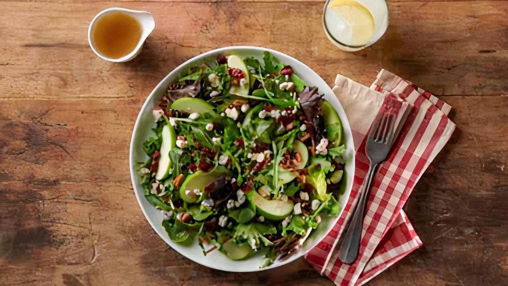 Michigan Apple Salad · spring greens, apples, dried cranberries, toasted pecans and bleu cheese crumbles with apple cider vinaigrette