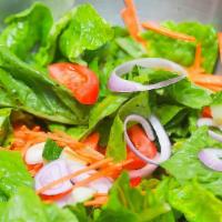Garden Salad  · Romaine lettuce, tomato, cucumber, parsley with our house dressing