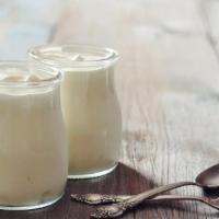 Five Star Yogurt (Urgo) · Organic. Homemade Yogurt.