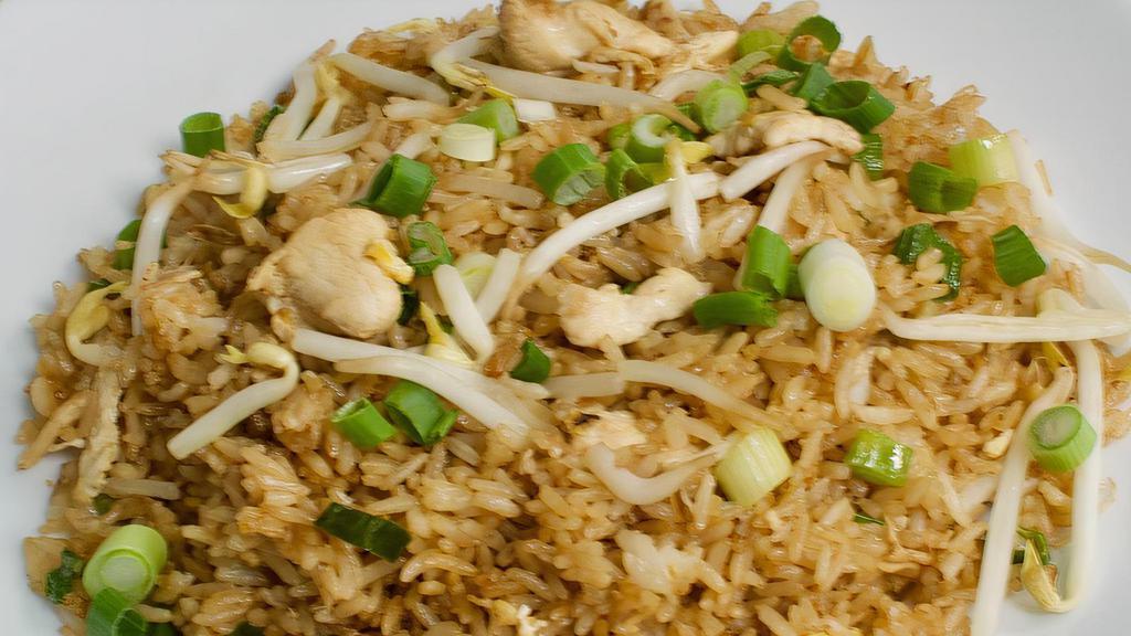 Chicken Fried Rice · Long grain white rice stir fried with chicken, egg, sprouts, green onions, soy sauce, and spices.