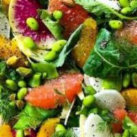 House Salad · Fresh Mixed Lettuce Garden Salad w/ Ginger Dressing