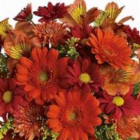 Golden Glow · Send this pretty pot of golden fall flowers to someone special today. At this nice price, it...