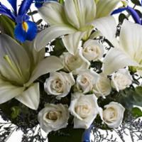 Blue Horizons · As open and bright as a winter's sky, this exquisite mix of white and blue blossoms would ma...