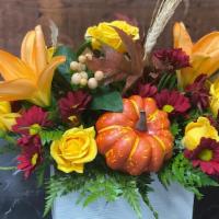 Pumpkin Spice  · Add a little bit of Spice this season with this white washed wooden planter filled with ever...