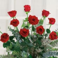 Dozen Red Roses · Premium Red Roses
Contents and Container may vary
Orders will be delivered by 5 pm if placed...