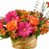 Sweet Treat Bouquet · Celebrate the colorful side of life with the Sweet Treat bouquet arriving in an adorable bas...