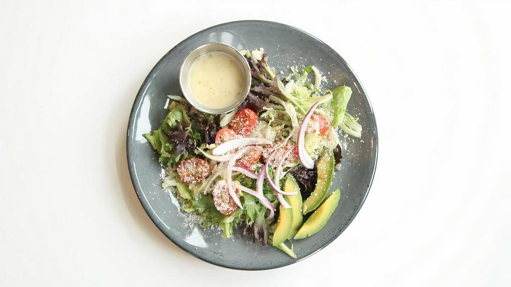 North High House Salad · spring mesclun mix / cotija cheese / red onion / cucumber / grape tomato / avocado / sunflower seeds / herbed lemon vinaigrette