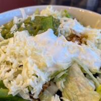 Burrito Bowl · Your choice of ground beef or shredded chicken with rice, whole beans, lettuce, sour cream, ...