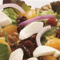 Michigan Salad · Spring mix, dry cherries, Mandarin oranges, walnuts, tomato, cucumber, onions, mozzarella ch...