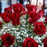 Gloria(V)-10005 · Beautiful One Dozen Red Roses with Snow flower Arrangement with the vase.