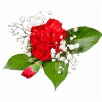 Red Carnation Corsage · For Mom's Corsage