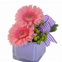 Petite Gerberas Floral Design (Shown As Deluxe) · This lovely arrangement is sure to hold a special place in their hearts! The playful pink ge...
