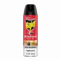 Raid Ant And Roach Spray Killer · 17.5 Oz