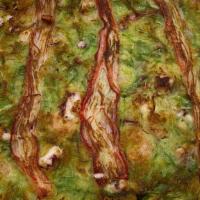 Haemul Pajeon · Seafood and green onion pancake.