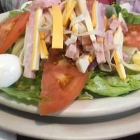 Julienne Salad (Large) · Lettuce, tomatoes, ham, American and swiss cheese, fresh turkey and egg.