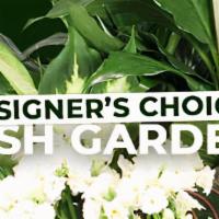 Dish Garden Selection · Take plants to the next level with one of our beautiful dish gardens designed by our expert ...
