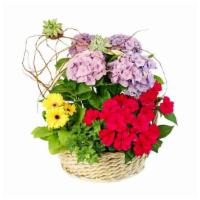 Charming Garden Basket · Bring a breath of fresh air indoors with the charming garden basket! Featuring impatiens, su...