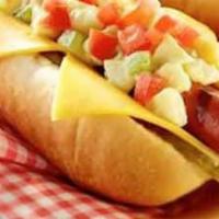 Hot Dog · Options; mustard, ketchup, relish, onion.