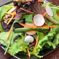 Green Salad · mesclun, cucumber, carrot, radish, carrot ginger vinaigrette