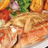 Huachinango Al Gusto · Deep fried whole red snapper, topped with your sauce of choice: diabla, garlic butter, spicy...