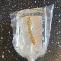 Worm Lollipop · Real worm inside tequila flavored sucker