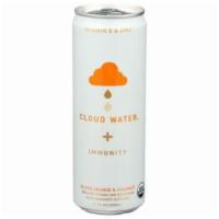 Cloud Water + Immunity Blood Orange & Coconut Sparkling Water (12 Oz) · Formulated with 100% of the Recommended Dietary Intake of Vitamin D3 and Zinc, Organic Cloud...