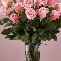 24 Long Stem Pink Roses · Enjoy the classic beauty of the rose with a playful twist in our Long Stem Pink Rose Bouquet...