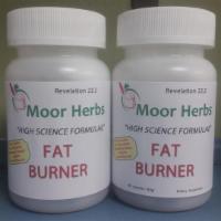 Fat Burner · Increase metabolism, burns fat.