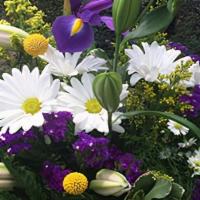 Iris & Daisy Basket · Purple irises, white daisies, and lilies with purple and yellow highlights and ferns in a ha...
