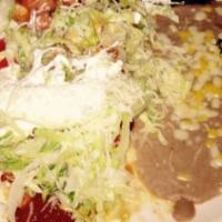 Burrito Special · Choice of shredded chicken or ground beef with sauce topped with lettuce, cheese, sour cream...