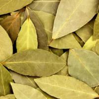 Bay Leaves · Mainly used for cooking
Bay leaves carry vitamins A and C, Iron, Potassium, Calcium, and Mag...