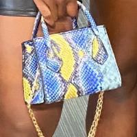 Blue Cobra - Mini Purse · This mini quad-colored cobra print skin purse is cute and quaint to carry your important nec...