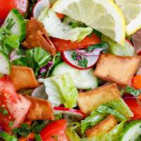 Mediterranean Salad · Lettuce, tomatoes, green onion, cucumber, lemon, parsley, mint, olive oil and garlic paste d...