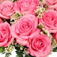 Chantilly Pink Roses Arrangement · Rose Vase Foliage: Leather Leaf, Variegated Pittosporum & nbsp, Pink Roses & White Waxflower.