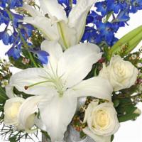 Crisp Winter Skies Flower Arrangement · You don’t have to brave the cold to enjoy this dazzling bouquet! Featuring alluring white ro...