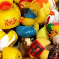 Mystery Duck · Add a surprise Rubber Ducky to your order.