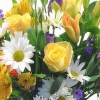 Morning Kiss · A clear glass gathering vase is filled with gorgeous white daisies, yellow alstromeria, yell...