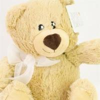 Plush Bear · The most adorable teddy bear! It comes in four different sizes. Available for local delivery...