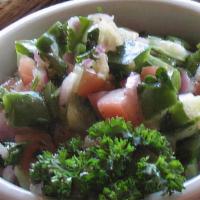 Shepherd Salad · Chopped tomatoes, cucumbers, onions and parsley. Served with lemon vinaigrette dressing.
