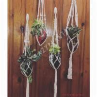 Single Hanging Footballs With Pothos · Rep your sports team! Can plant directly into planter or put 4’ nursery pot inside. Includes...