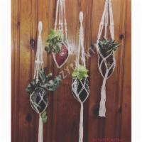 Single Hanging Footballs · Rep your sports team! Can plant directly into planter or put 4’ nursery pot inside. Includes...