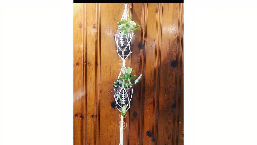 Double Hanging Footballs · Rep your sports team! Can plant directly into planter or put 4’ nursery pot inside. Includes 2 sports ball & double macrame. Will include one football With logo and one football without logo. Plant not included.