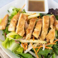 Asian Chicken Salad · Sliced cucumbers, onions, cilantro, shredded carrots, and grilled chicken on a bed of spring...