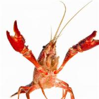 Live Lobster * · 