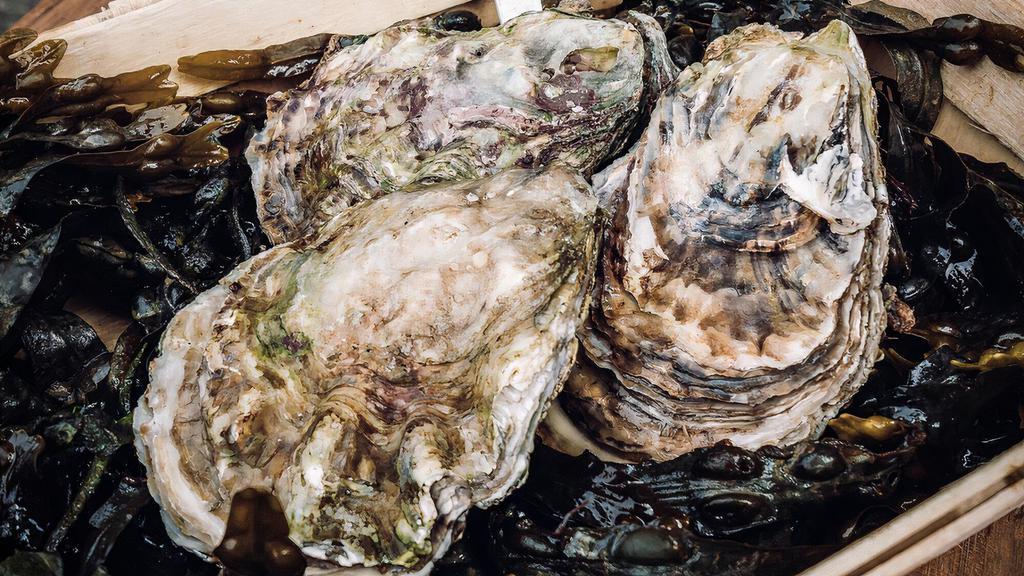 North Carolina Oysters · Six (6) of the most amazing, salty, and delicious NC oysters around. The Hi-Tider comes from the NC Outter Banks and come un-shucked to preserve the juice and flavor. These will have to be shucked at home.