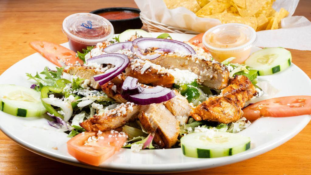Chicken Fajita Salad · Grilled chicken with onions, bell peppers, tomatoes and cucumbers on a bed of lettuce, topped with a dollop of sour cream.