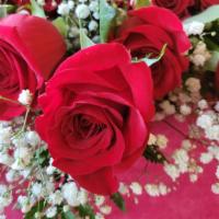  One Dozen Red Roses Bouquet · One Dozen Red Roses wrapped bouquet. Surprise someone with these beautiful red roses.