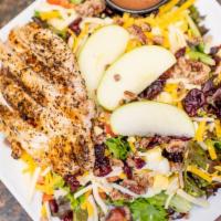 Harvest Salad · Baby greens, granny smith apples, candied pecans, craisins, egg, tomato, Monterey Jack, Ched...